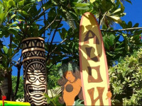 The Tiki Hale Hostel