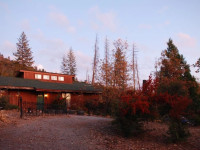 Sunny Pines Cottage