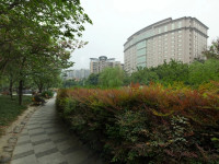 Millennium Hotel Chengdu