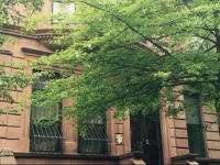 Triplex Five Bedroom Apartment - Harlem 