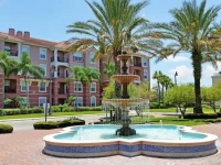 Universal Palms 