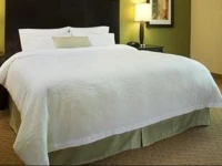 Hampton Inn and Suites Snyder 