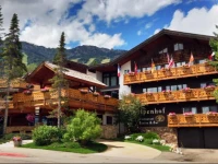 The Alpenhof 