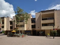 Lionshead Arcade 