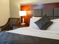 Ramada Plaza Chicago North Shore 