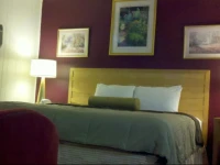 Northside Motel - Williamstown 