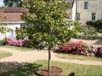 ChГўteau de Bournand B&B 