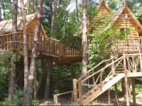 Cabanes dans les Arbres "Nids des Vosges" 