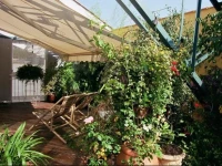Loft de Cannes B&B 