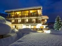 Chalet Les Rhodos 