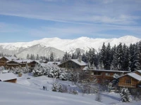 Chalet Artemisia 