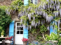 Fownhope Bed & Breakfast 