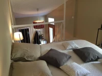 Appartement Louis Figuier 