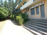 Appartement Mimosa 