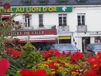 HГґtel Au Lion Dor 