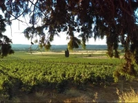Domaine Conscience 