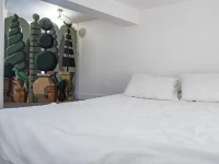 Appartement Monsigny 