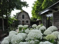 B&B De Oude Walnoot 