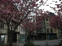 Rouen Quartier St Maclou 