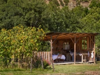Grand Forest Metsovo 5*
