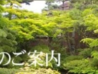 Century Ikaya 4*
