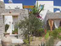 Villa Patmos Netia