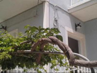 Studios Patra