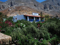 Harrys Paradise