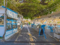 Hotel Lefka Ori 1*