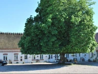 Pension Lindely 