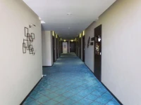 Hotel Pine Spring Srinagar Wazir Bagh 3*