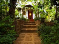 Jivana Plantation 3*