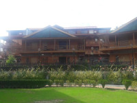 Hotel Daffodil Manali