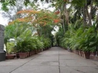 Hotel Kala Sagar 3*