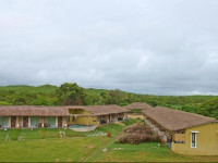 Asiatic Lion Lodge