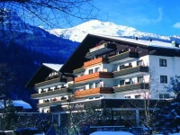 Kur Und Spothotel Alpina 4*