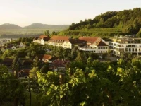 Steigenberger Avance Hotel and Spa 4*