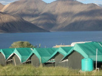 Pangong Delight Camp