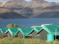 Pangong Delight Camp 