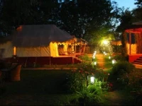 Jungle View Resort 3*