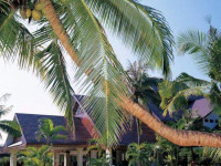 Sunny Paradise Resort