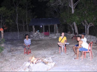 Rumah Pohon