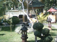 Lovina Green Villa