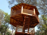Cabanes Dosrius 