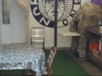 Apartamentos Mayte 