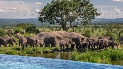 Уйти от зимней стужи: Four Seasons Safari Lodge Serengeti приглашает отпраздновать праздники под африканским солнцем