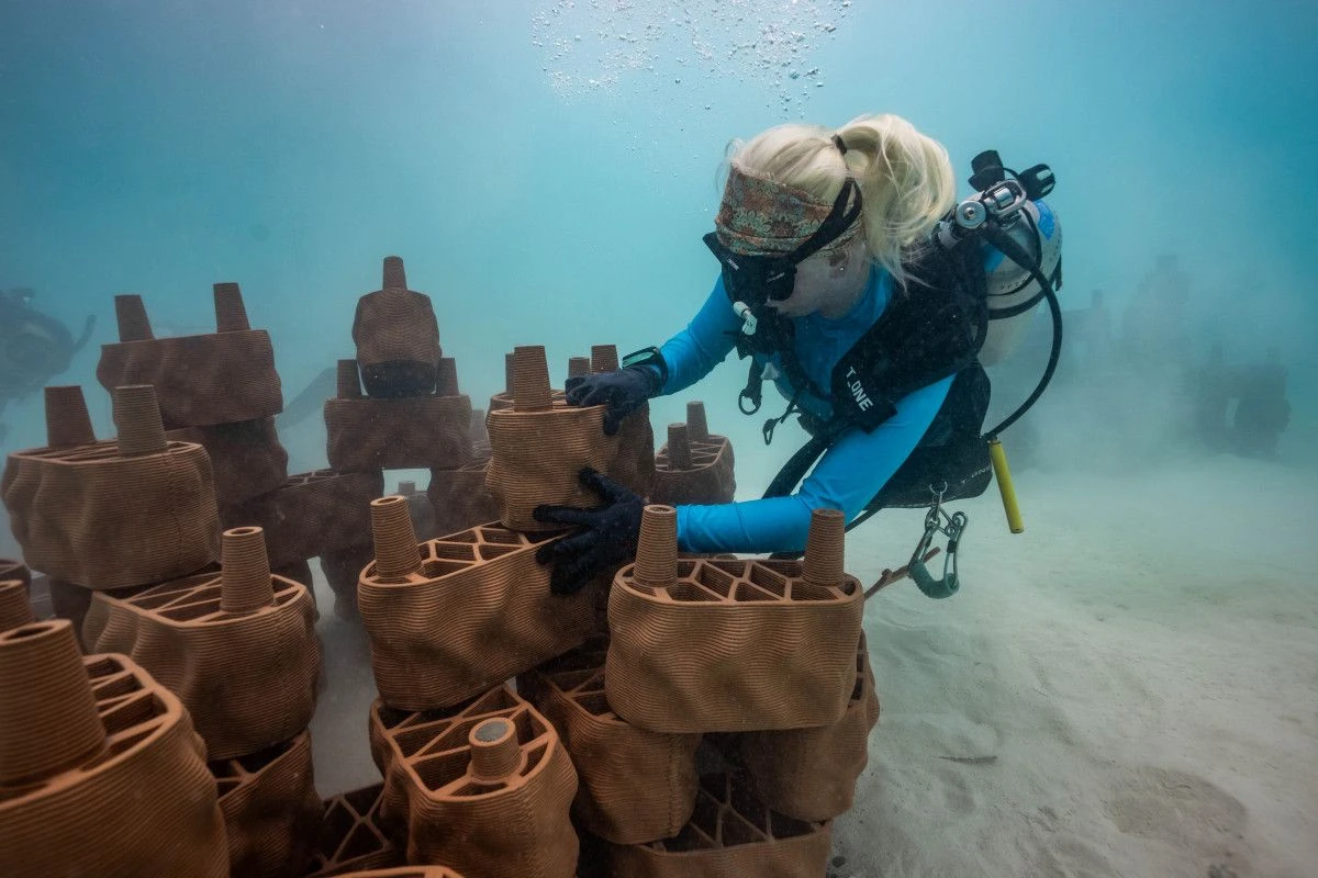 Курорт Anantara Dhigu совместно с компанией rrreefs запускает инновационный проект по восстановлению рифов из 3D-печатной глины