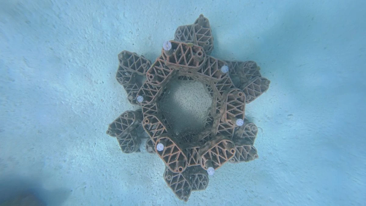 Курорт Anantara Dhigu совместно с компанией rrreefs запускает инновационный проект по восстановлению рифов из 3D-печатной глины