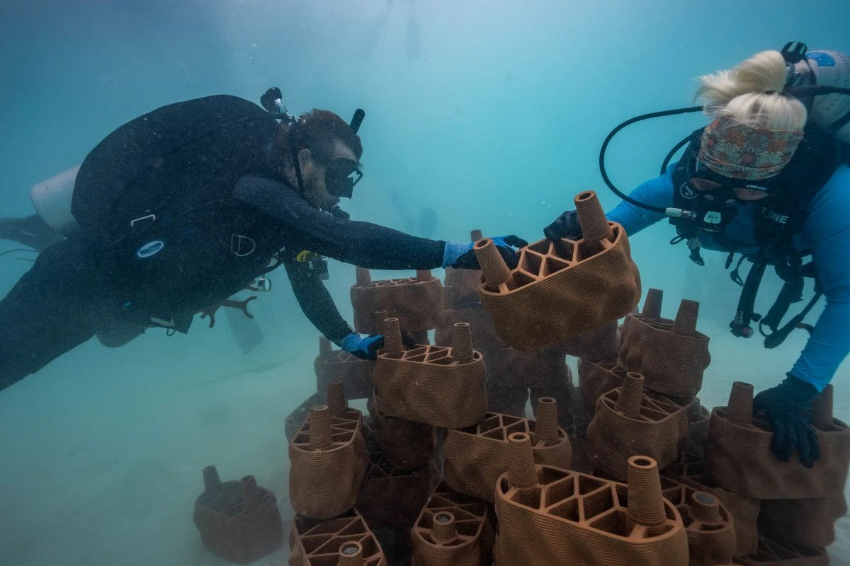 Курорт Anantara Dhigu совместно с компанией rrreefs запускает инновационный проект по восстановлению рифов из 3D-печатной глины