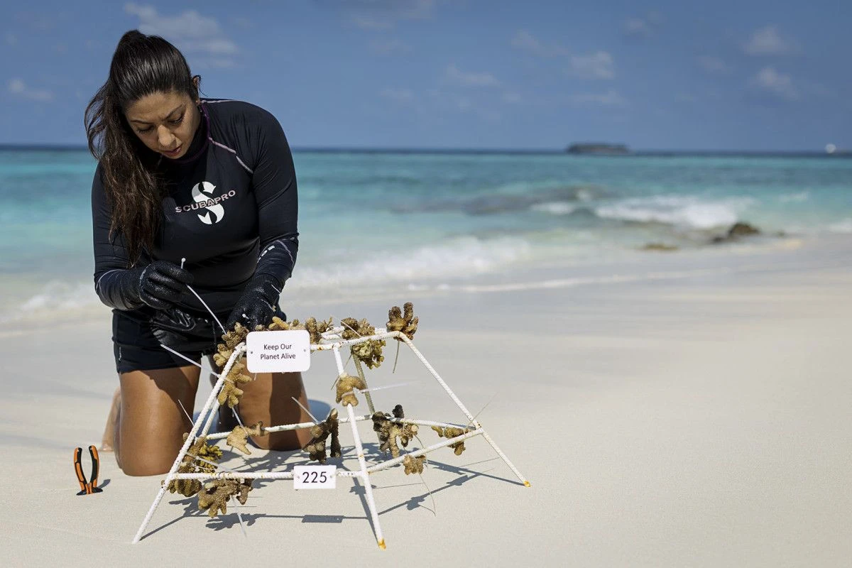 Milaidhoo Maldives удостоен знака VERIFIED™ Responsible Hospitality от Forbes Travel Guide на 2026 год